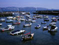 Paignton Harbour - click to view live webcam of harbour